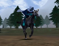 Bien plus rapide que le rokapat, le cheval est aussi bien plus comestible.